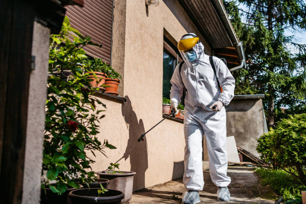 Best Flea Control Services  in Bondurant, IA