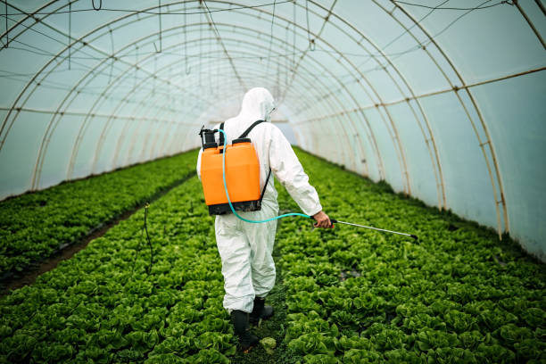 Best Pest Prevention Services  in Bondurant, IA
