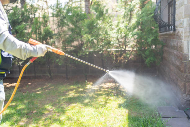 Insect Control in Bondurant, IA